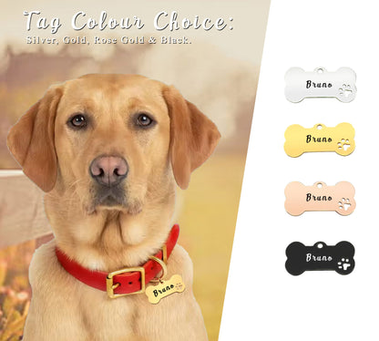 Personalised Bone & Paw Pet ID Tag - Engraved Both Sides