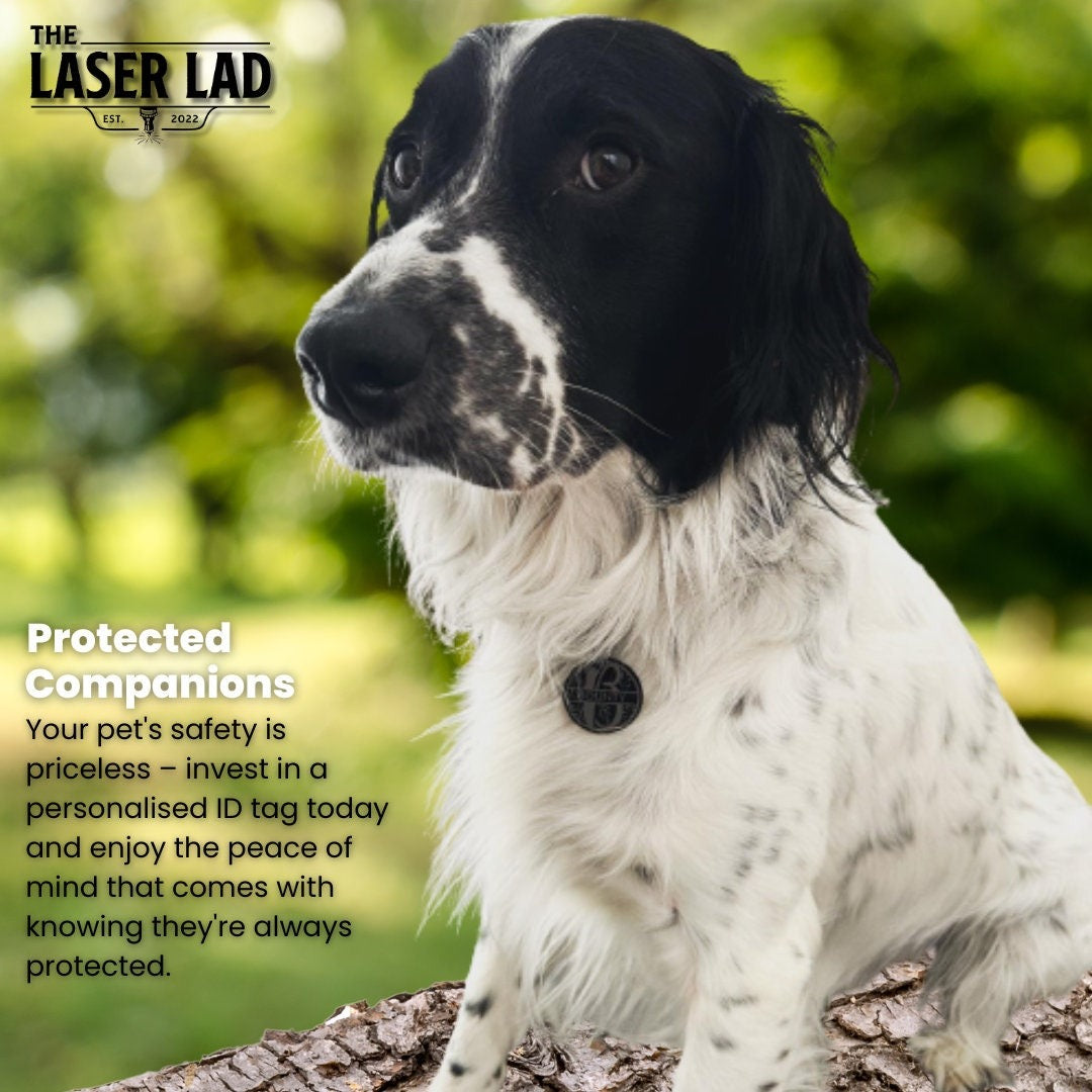 Personalised Diamond Pet ID Tag - Engraved Both Sides